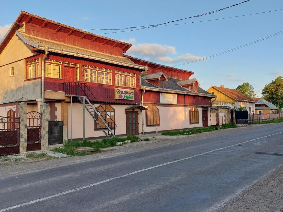 Lotus Hotel Suceava Bagian luar foto